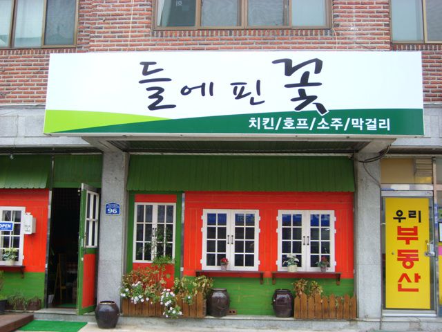 들에핀꽃