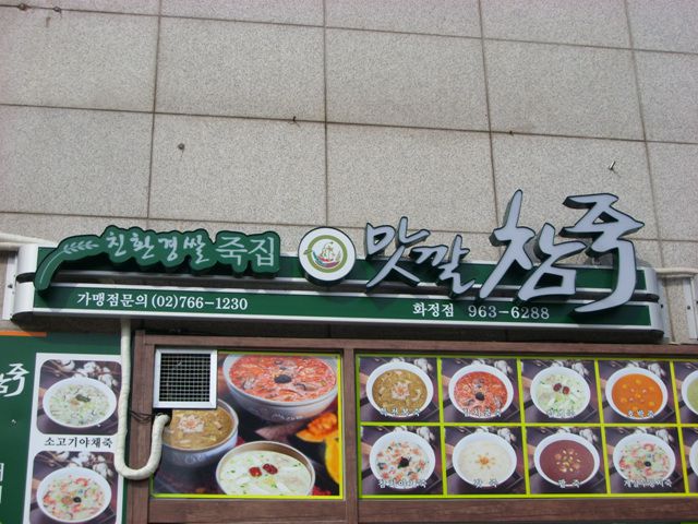 참죽